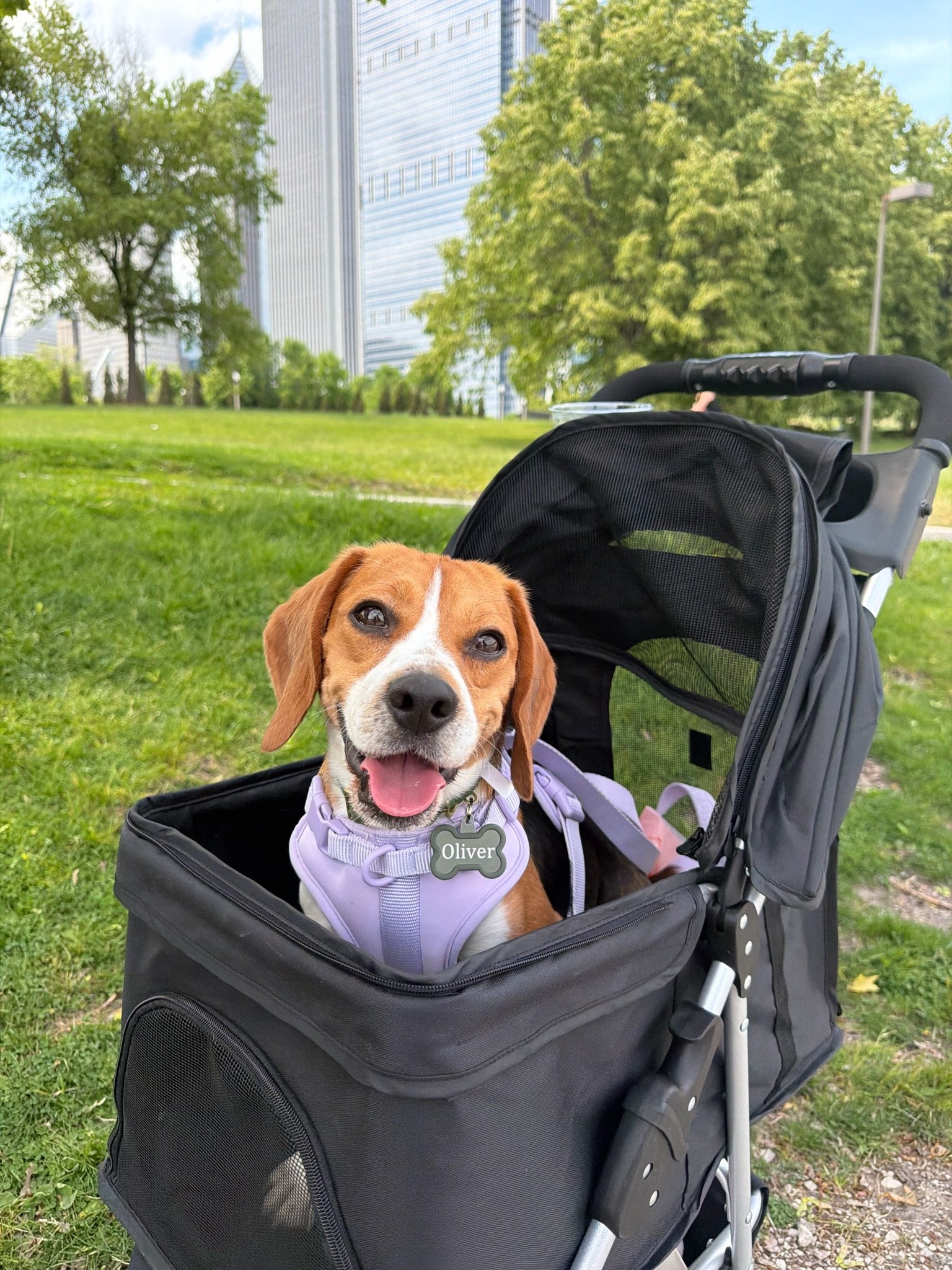 Oliver’s stroller! love using this for long walks🫶

#LTKActive #LTKSeasonal #LTKfitnessgoals