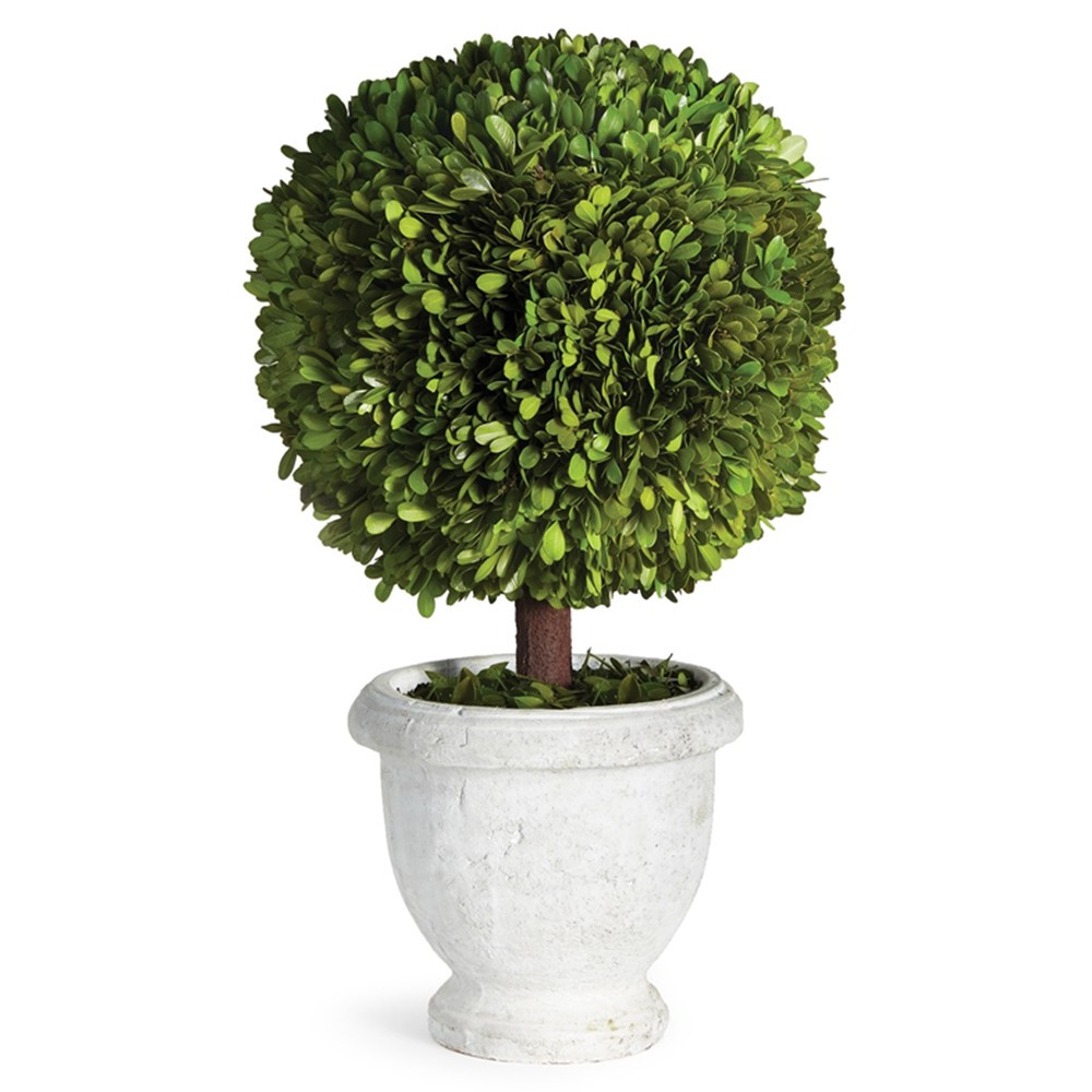 Caelum French Country White Potted Green Topiary Boxwood - Large | Kathy Kuo Home