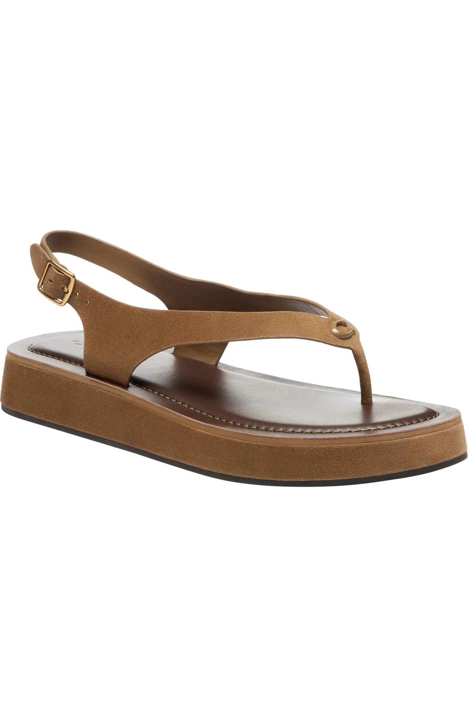 Sculpted C Sandal (Women) | Nordstrom