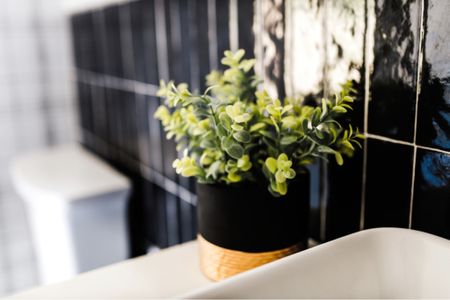 Boxwood arrangement is $4 this week with Target Circle offer! I dropped it in this cement planter from Amazon that’s just $16!

#amazonhome #targetcircleweek #fauxplant #bathroomdecor #blackandgoldplanter #blackandgoldpot #boxwood #affordabledecor #cementplanter 

#LTKsalealert #LTKhome #LTKstyletip