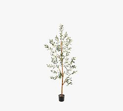 Faux Olive Trees | Pottery Barn (US)