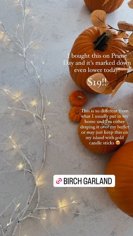 Amazon brought out the big guns with this garland this year! 😍 Currently $19 with the clickable coupon for a beautiful 6’ birch garland!

#LTKhome #LTKSeasonal #LTKHoliday
