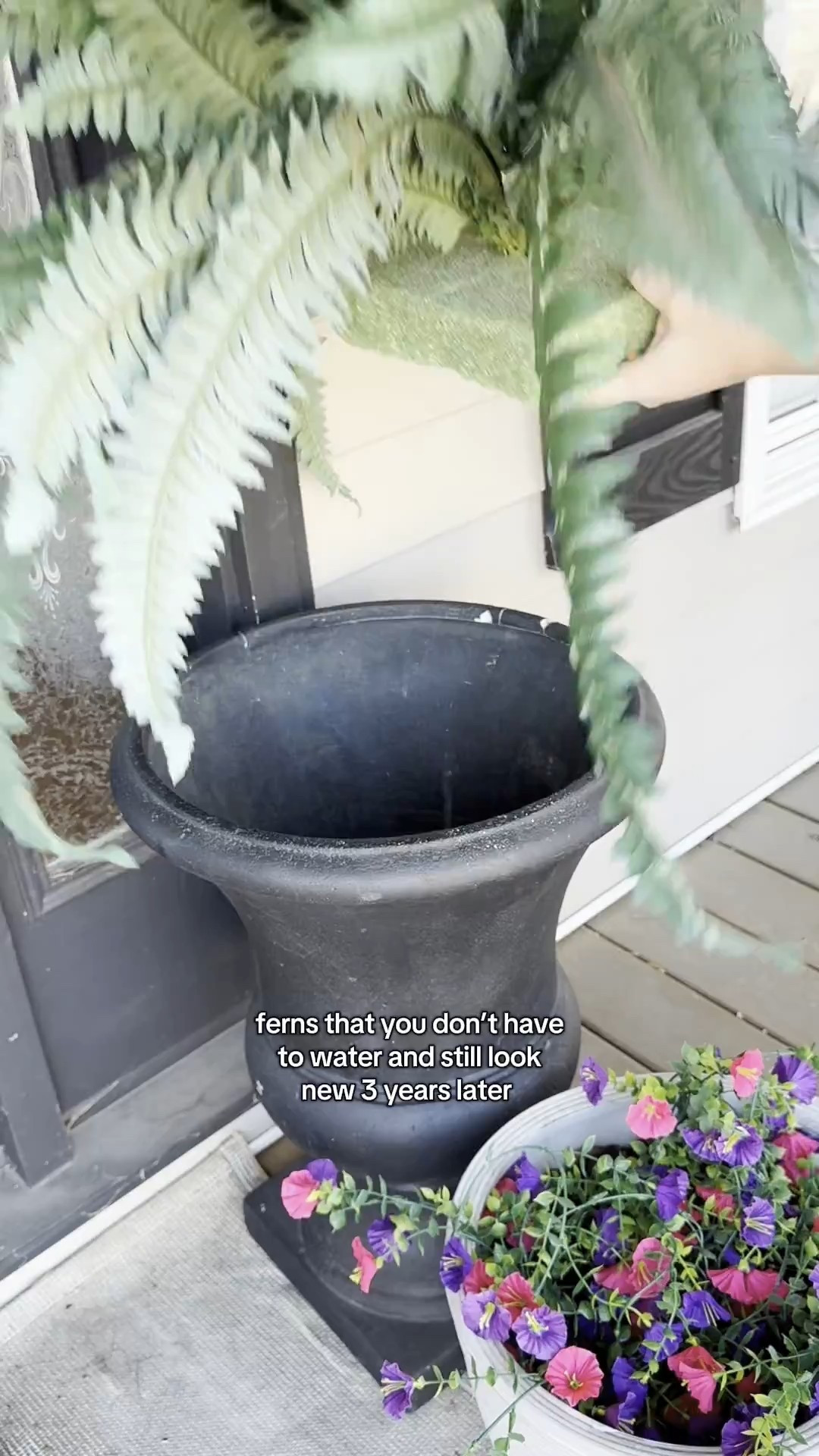 #fauxplants #porchdecor 

#LTKSaleAlert #LTKHome #LTKFindsUnder100