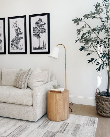 Great room sources, faux tree, sofa, lamp, side table, rug, art, home, amazon finds, neutral living, family, spring finds

#LTKstyletip #LTKsalealert #LTKhome