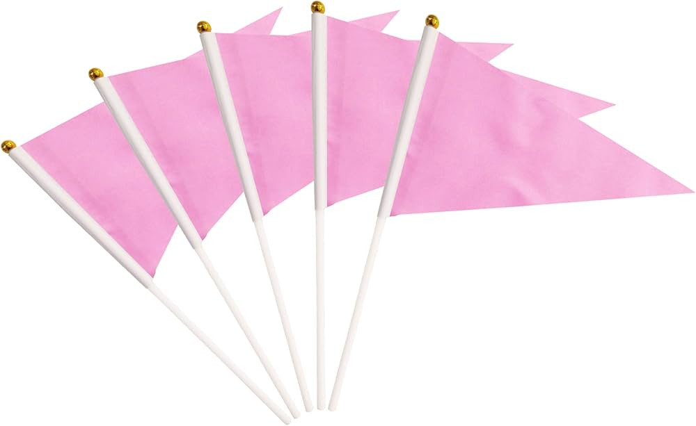 25 Pack Pink Pennant Flags Small Mini Hand Held Solid Color Pennant DIY Graffiti Flags On Sticks,... | Amazon (US)