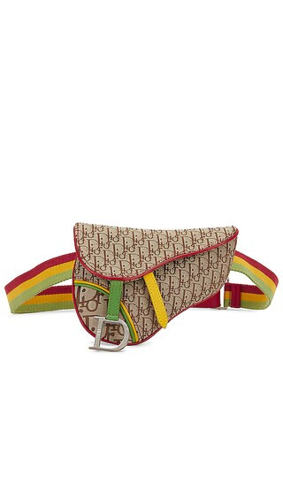 Dior Trotter Rasta Saddle Belt Bag in Multicolor | Revolve Clothing (Global)