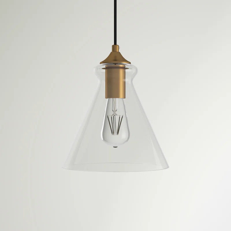 Inola 1 - Light Single Cone Pendant | Wayfair North America
