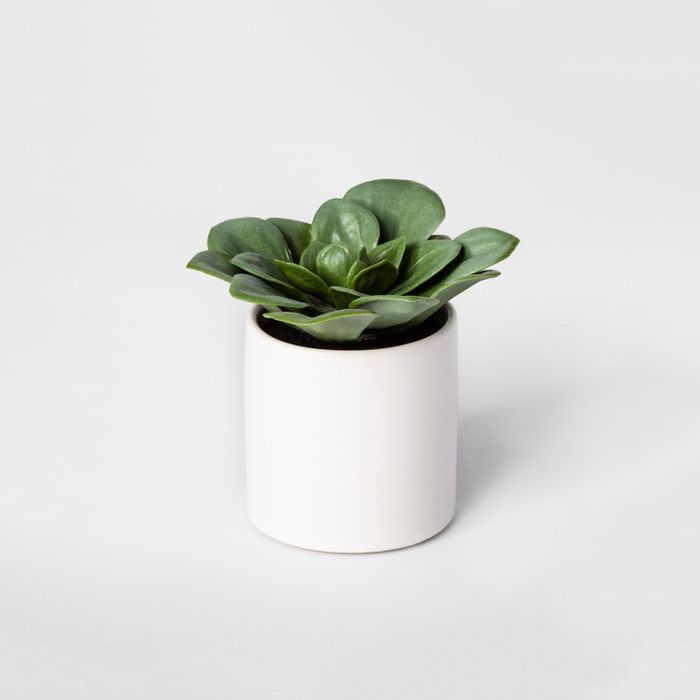 4.5" x 4" Artificial Dudleya Succulent In Pot Green/White - Project 62™ | Target