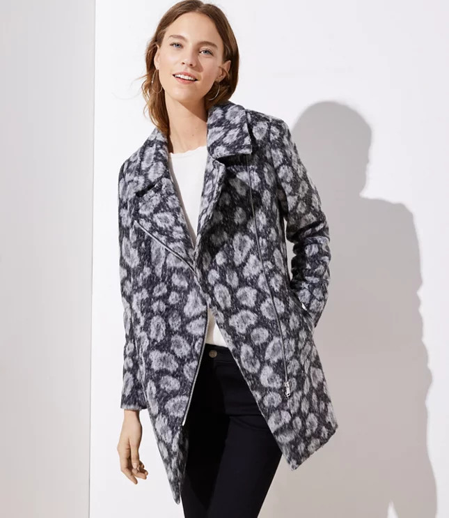 Spotted Moto Coat | LOFT | LOFT