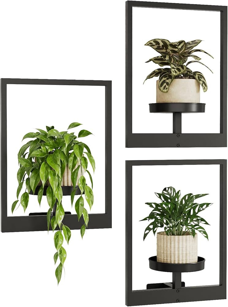 Bamworld Plant Stand Indoor Window Plant Shelves 3 Pack Metal Hanging Plant Stand Picture Frame W... | Amazon (US)