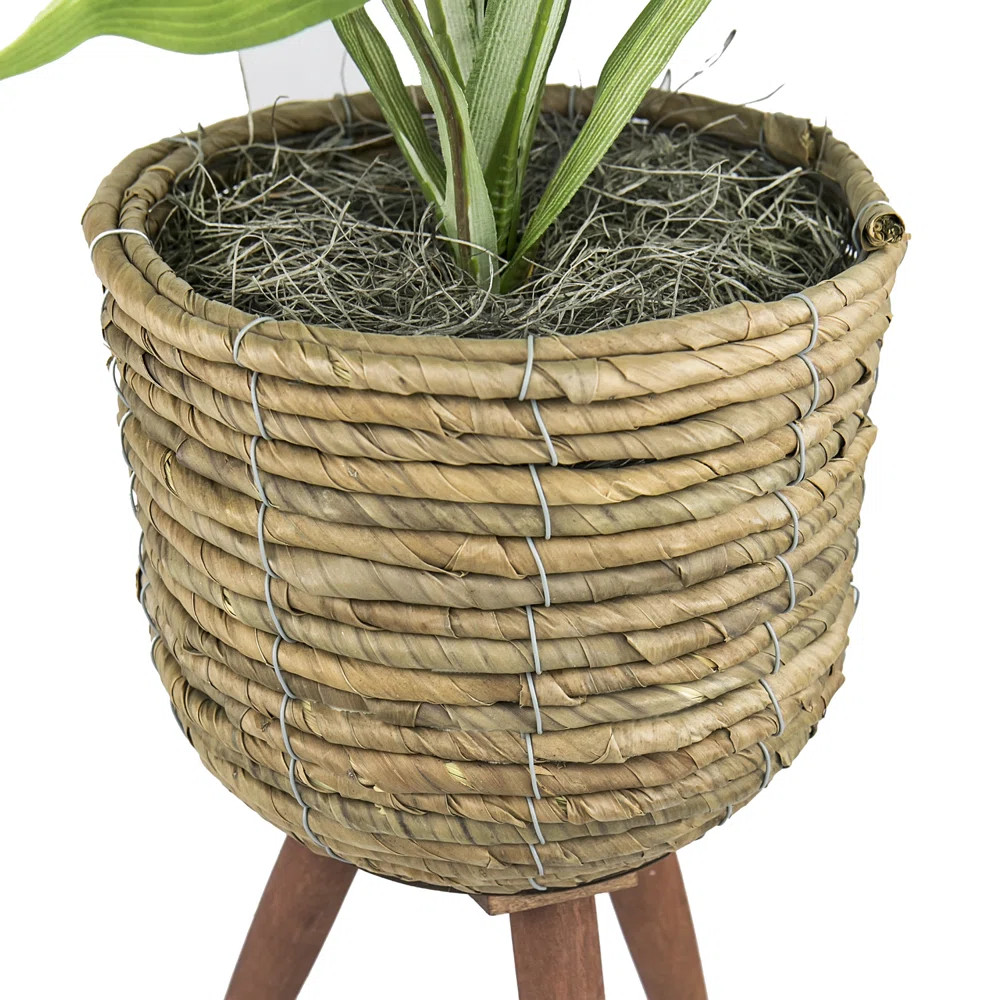 Mistana™ 28'' Faux Foliage Plant in Basket & Reviews | Wayfair | Wayfair North America