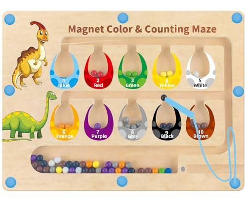 HONGID Dinosaur Toys,Magnetic Color and Number Maze, Montessori Toys for 2 3 4 5 Year Old,Learning Educational Sensory Toys for Toddlers and Kids Boys Girls,Christmas Stocking Stuffers for Kids | Amazon (US)