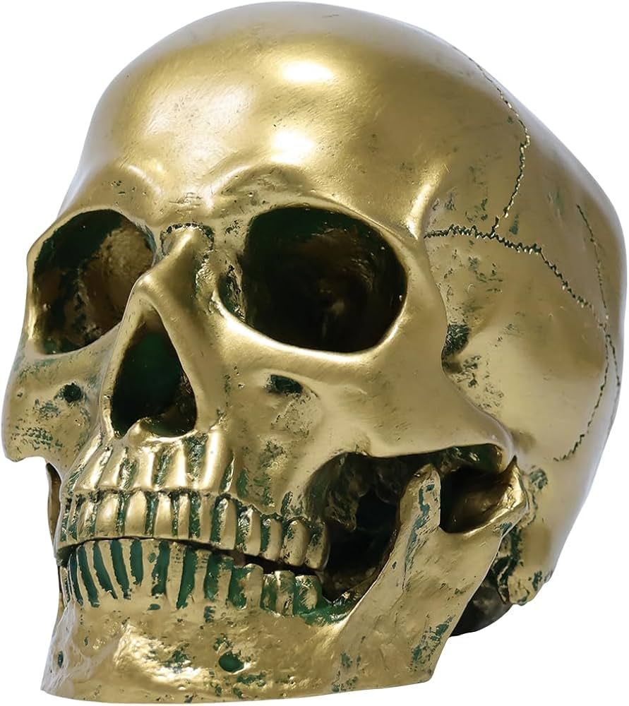 1:1 Resin Human Skull Model Halloween Props Home Decorations High Fidelity Skull Head Sculpture L... | Amazon (US)