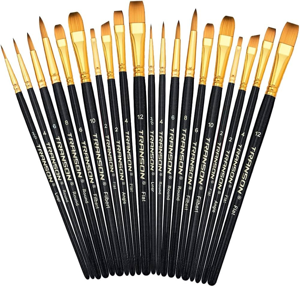 Transon 20pcs Art Painting Brush Set for Acrylic Watercolor Gouache Hobby Craft Face Painting | Amazon (US)