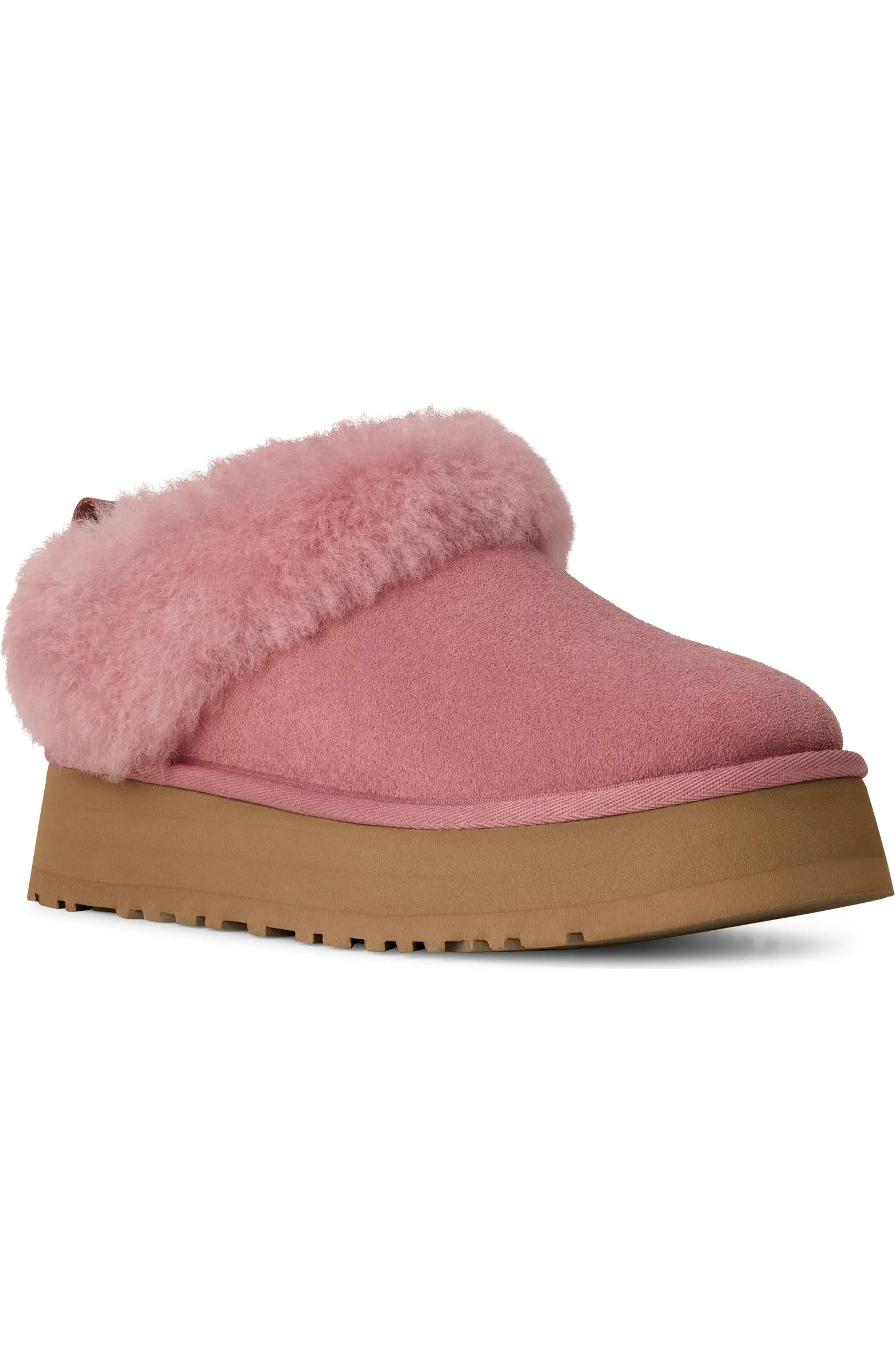 Tazzelle Genuine Shearling Collar Slipper (Women) | Nordstrom