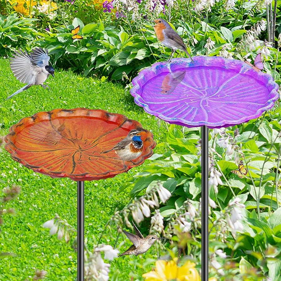 2PCS Hummingbird Bird Bath for Outside, Freestanding Metal Flower BirdBaths Bowl with Stake, Deta... | Amazon (US)