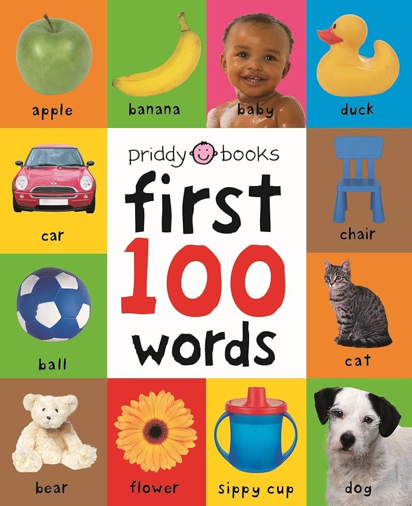 First 100 Words: A Padded Board Book | Amazon (US)