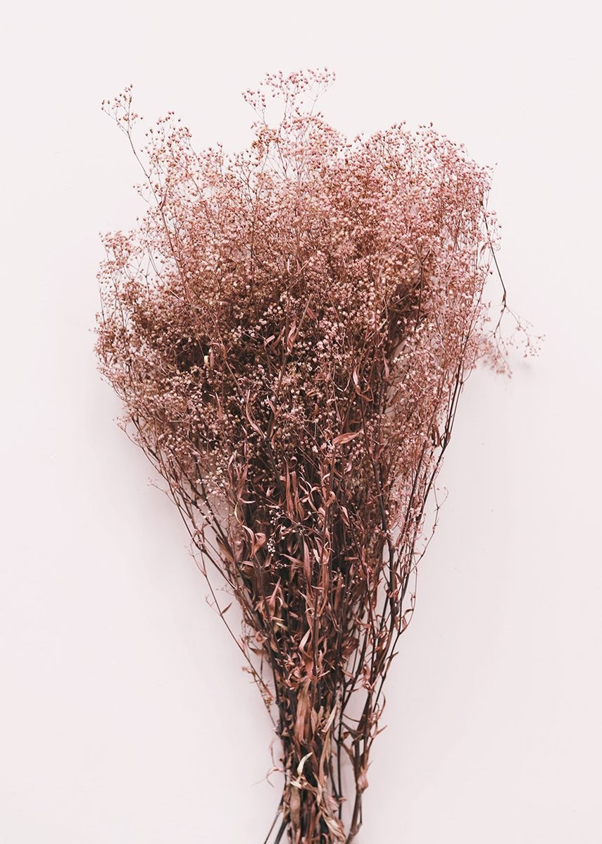 Preserved Mauve Brown Stardust Gyp Bundle | Afloral (US)