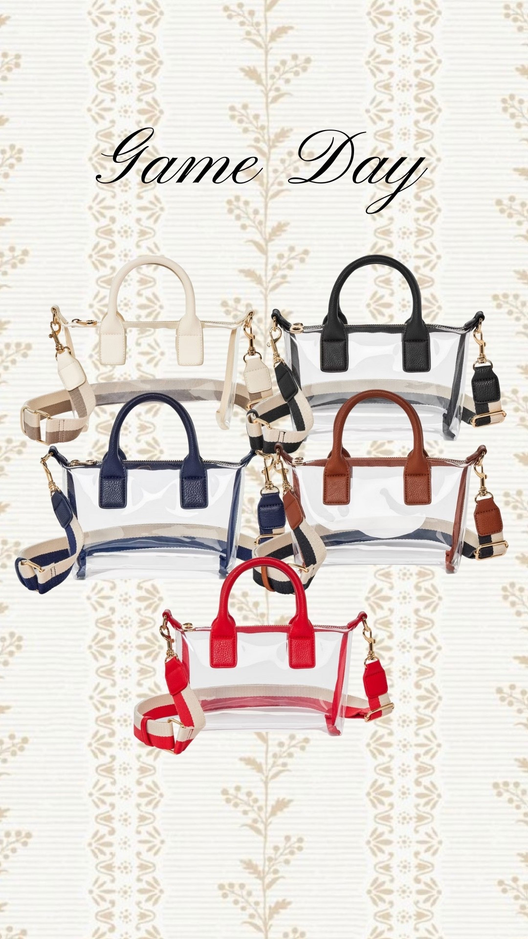 Perfect $20 clear bag for game day