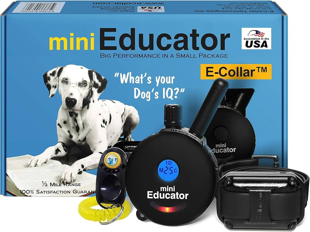 Educator ET-300 Black Mini E Collar for Dog Training with Remote - 1/2 Mile Range, Waterproof, 10... | Amazon (US)