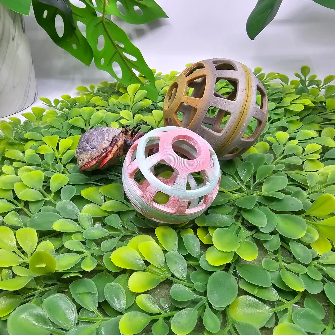 Busy Ball Treat Dispenser Hermit Crab Toy - Etsy | Etsy (US)