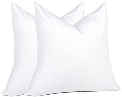 Natural Goose Down Feather Pillow Inserts 20 x 20 (Set of 2, White), Décor Pillow for Couches, Chair | Amazon (US)