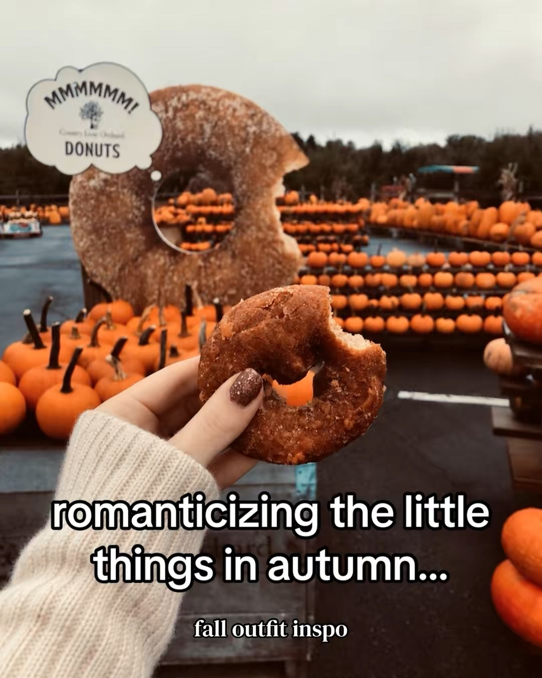 fall outfits.

#LTKSeasonal #LTKstorytime #LTKSaleAlert
