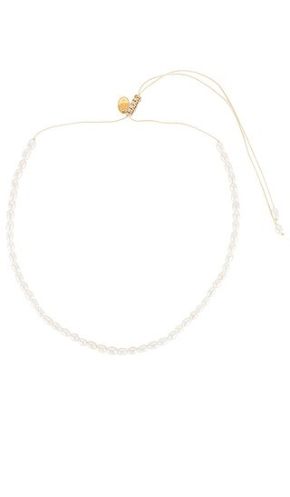 Romeo Choker in Gold | Revolve Clothing (Global)