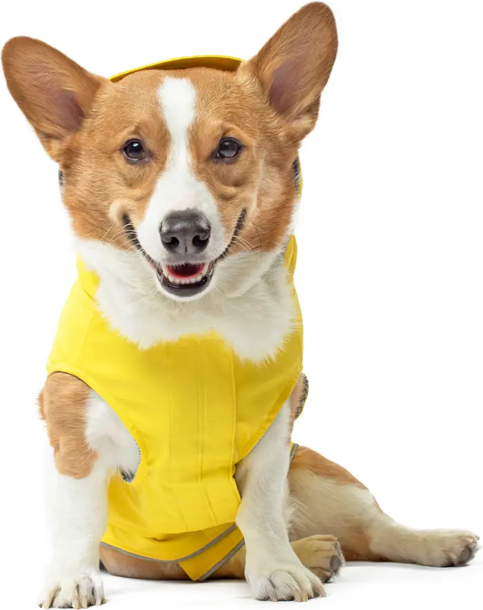 Torrential Tracker Water Resistant Dog Coat | Nordstrom