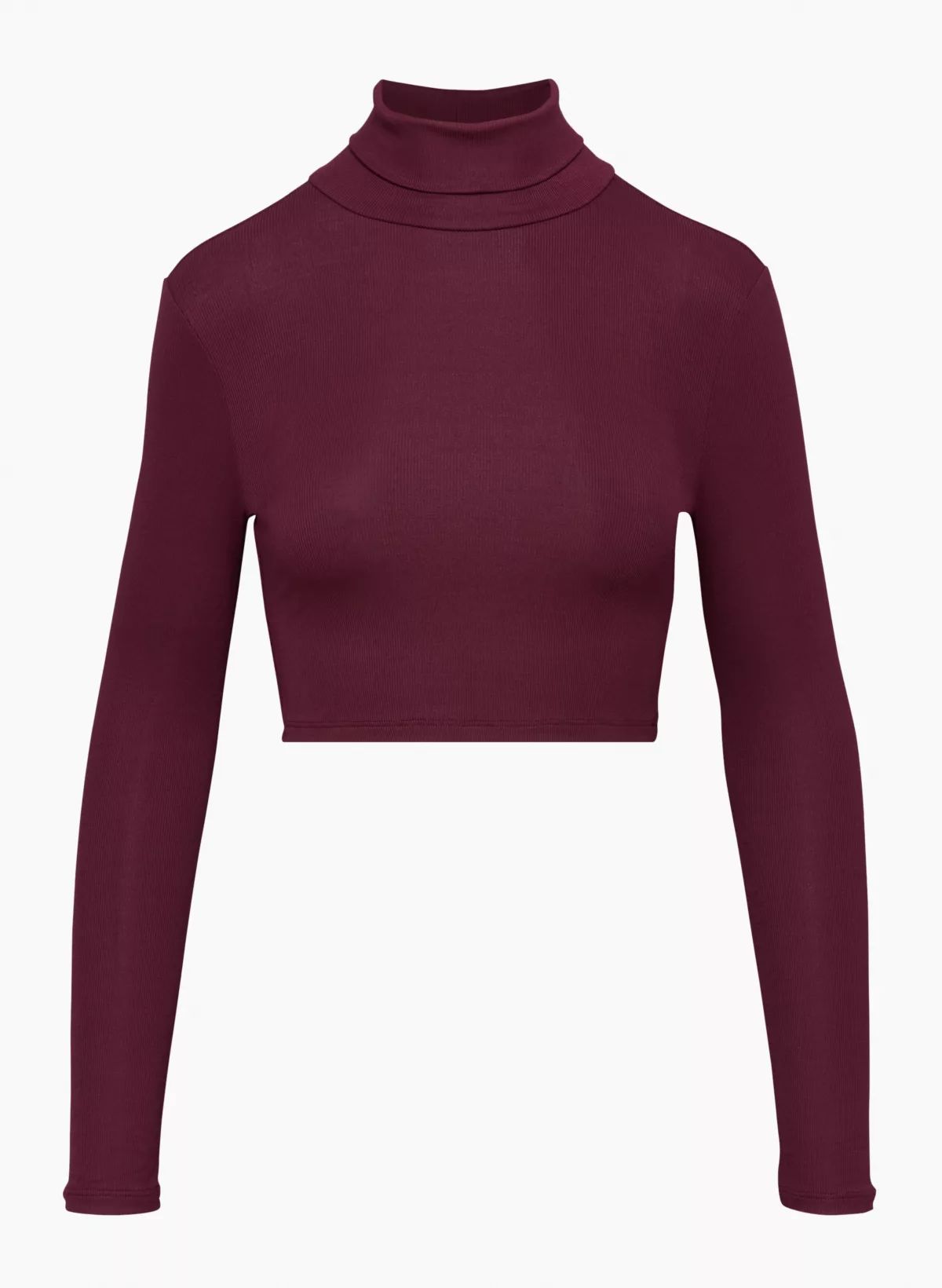 FRESHMAN CROPPED TURTLENECK | Aritzia