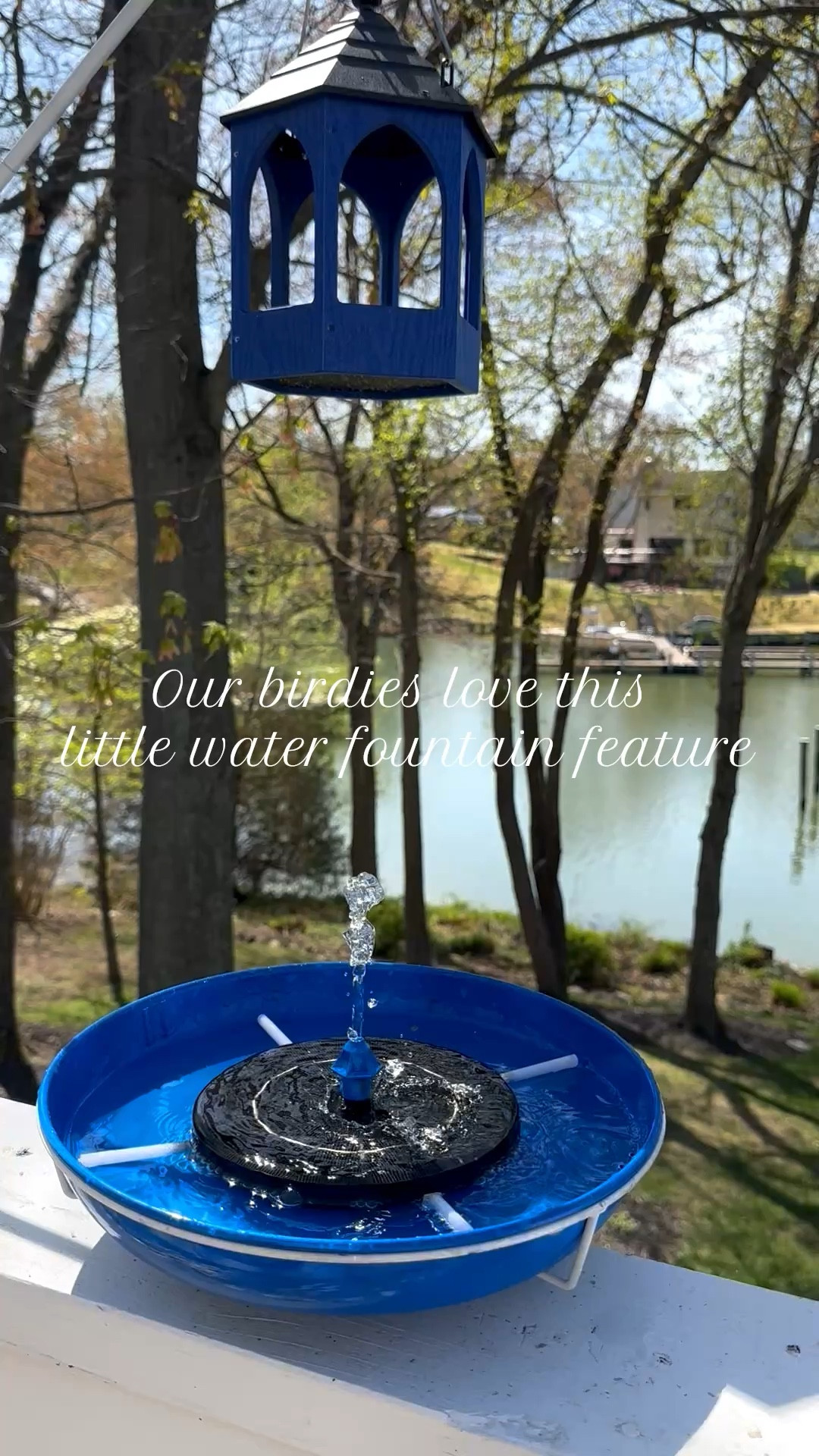 The cutest little solar water fountain feature for your birdies! So budget friendly and comes with several different fountain options! The bird bath is also budget friendly and I spray-painted it the perfect patriotic blue!

#LTKSeasonal #LTKHome
