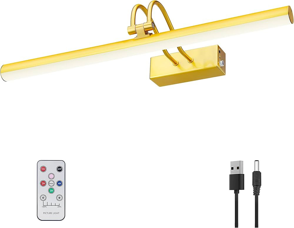 Picture Light,16in Wireless Battery Wall Lighting,Remote Art Lights for Paintings with Timer and ... | Amazon (US)