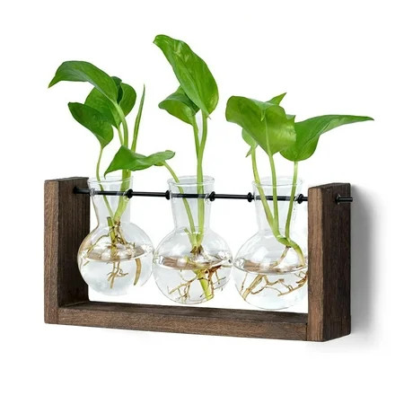 XXXFLOWER Air Plant Terrarium Propagation Station Wall Hanging Size : 4.9 H x 9.8 W x 2.2 D | Walmart (US)