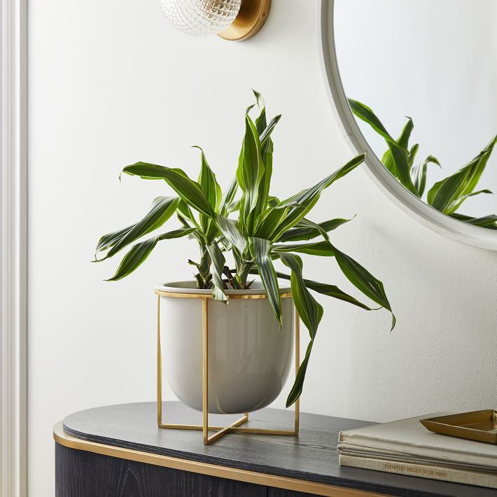 Eden Cross Base Tabletop Planters - White | West Elm (US)