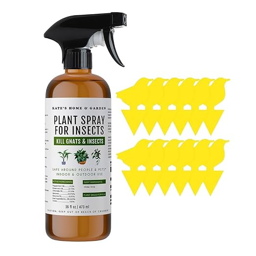 Plant Spray Bottle for Insects with Fruit Fly Trap (16oz) - Kate's Home & Garden. Fungus Gnat Kil... | Amazon (US)