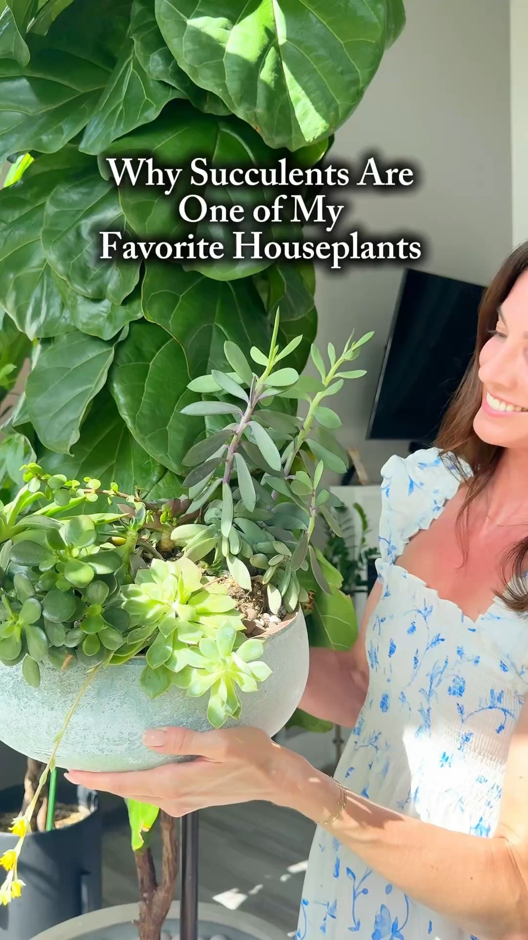 Comment FAVORITE for links! 🌿

Succulents are some of the most eye-catching plants in my collection.

I love the variety of colors, shapes, and textures they bring to a space. Whether they’re grouped together on a shelf or sitting alone on a table, they always seem to make a room feel more interesting.

One thing to keep in mind is that most succulents need plenty of bright indirect light to stay compact and colorful. If they aren’t getting enough light, they can start to stretch and lose the shape that makes them so beautiful.

Do you have a favorite succulent? 🌵✨

#SucculentLove #Houseplants #PlantLover #IndoorPlants #SucculentCare

#LTKHome #LTKBeauty #LTKOver40