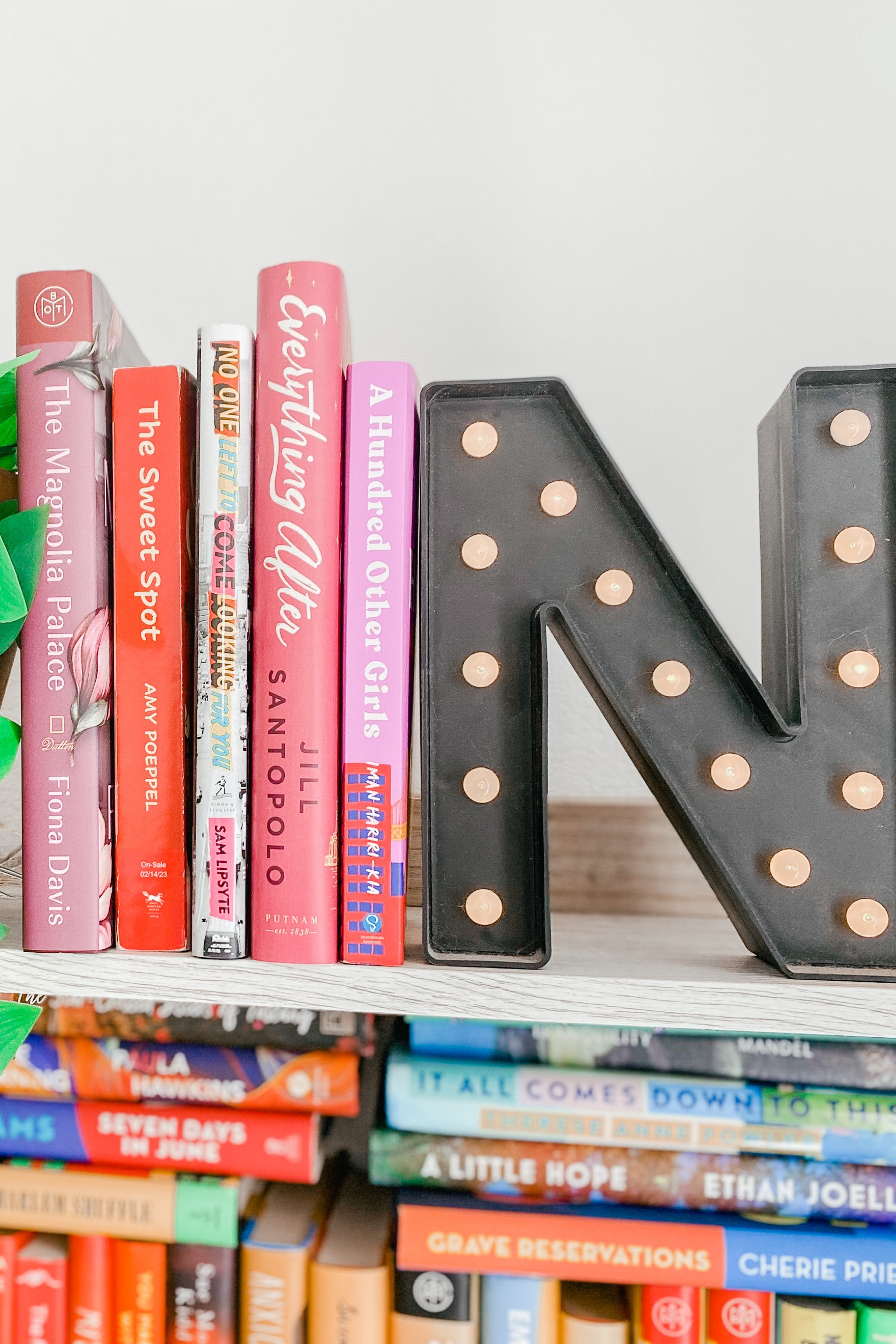 BOOKS I READ IN NYC 🗽🏙️📚

#LTKunder50 #LTKGiftGuide #LTKunder100