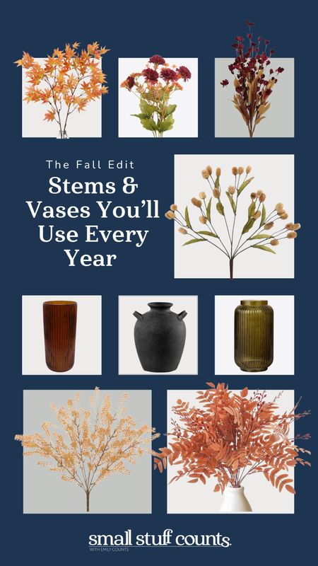 Some of my favorite vases and fall stems! Sticking a fall floral in a pretty vase is an easy way to add a fall vibe to your home  

#LTKhome #LTKSeasonal