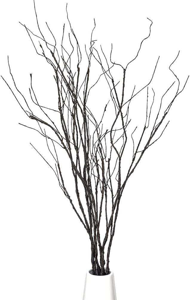 Pursuestar 5Pcs 29.5" Lifelike Dry Willow Branches Bendable Iron Wires Artificial Floral Flower S... | Amazon (US)