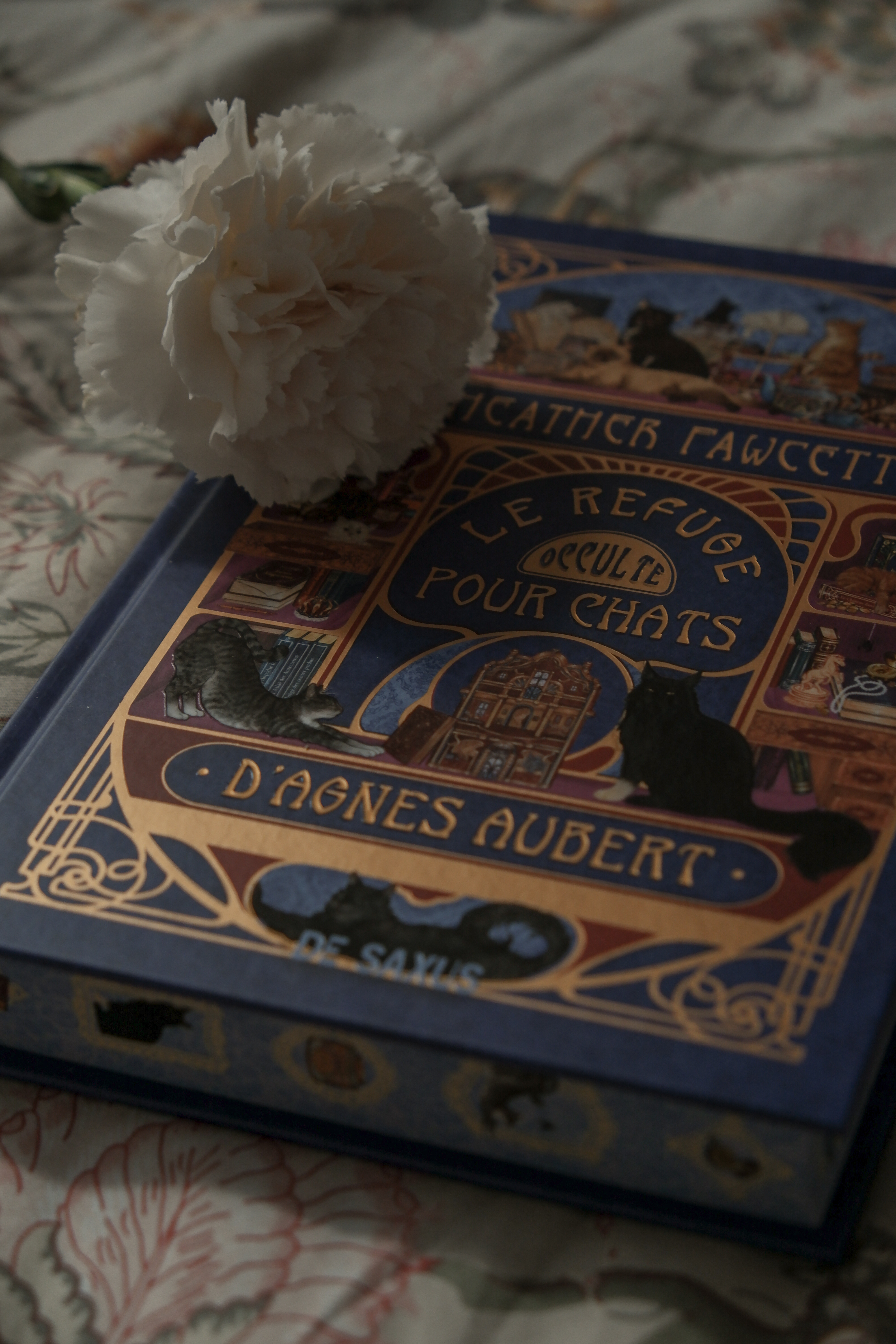 Un cosy fantasy à l'inspiration Ghibli château ambulant.  

 #LTKfrance #LTKgiftguide