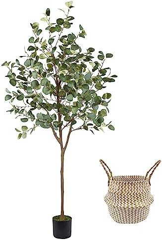 Artificial Eucalyptus Tree, 6ft Tall Fake Eucalyptus Plant with Basket, Green Silver Dollars Silk... | Amazon (US)