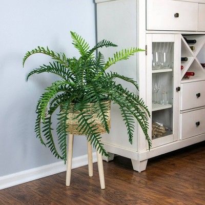 38&#34; x 34&#34; Artificial River Fern Plant in Basket Stand - LCG Florals | Target