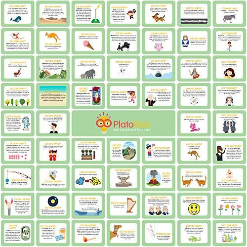 Lunch Box Notes for Kids – Pack of 60 Educational Lunch Box Notes - Lunch Notes Learning Cards ... | Amazon (US)