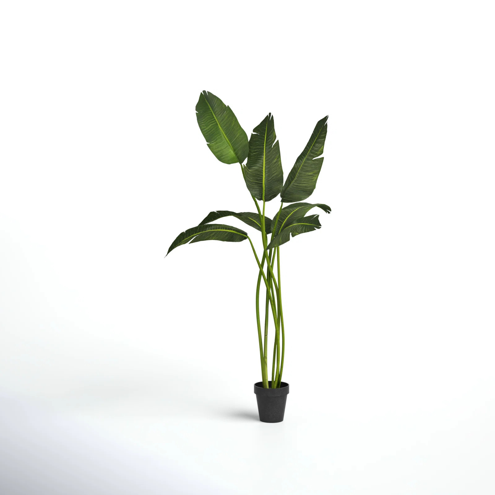 Birch Lane™ 78'' Artificial Banana Leaf Tree in Pot & Reviews | Wayfair | Wayfair North America