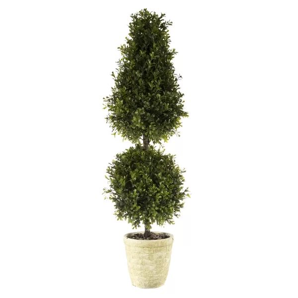 34'' Boxwood Topiary in Ceramic Planter | Wayfair North America