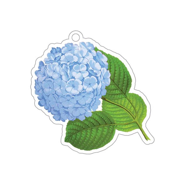 Hydrangea Gift Tags | Cailini Coastal