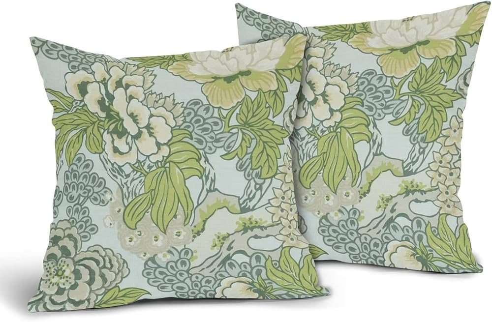 Sweetshow Spring Green Flowers Chinoiserie Pillow Covers 2 Packs 20x20 Inch Lighe Green Floral Th... | Amazon (US)