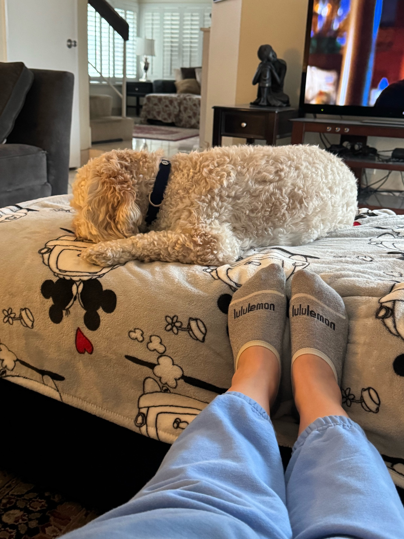 Today’s rainy day essentials: sweatpants, socks and my cute fur baby ❤️☔️💧🌧️🌂 #rainyday #rainraincometoday #rainydayessentials #ootd #outfitintherain 

#LTKSeasonal #LTKMostLoved #LTKStyleTip