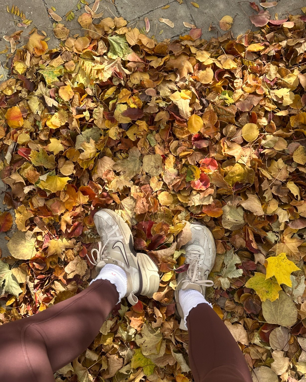 Best walking shoes everr