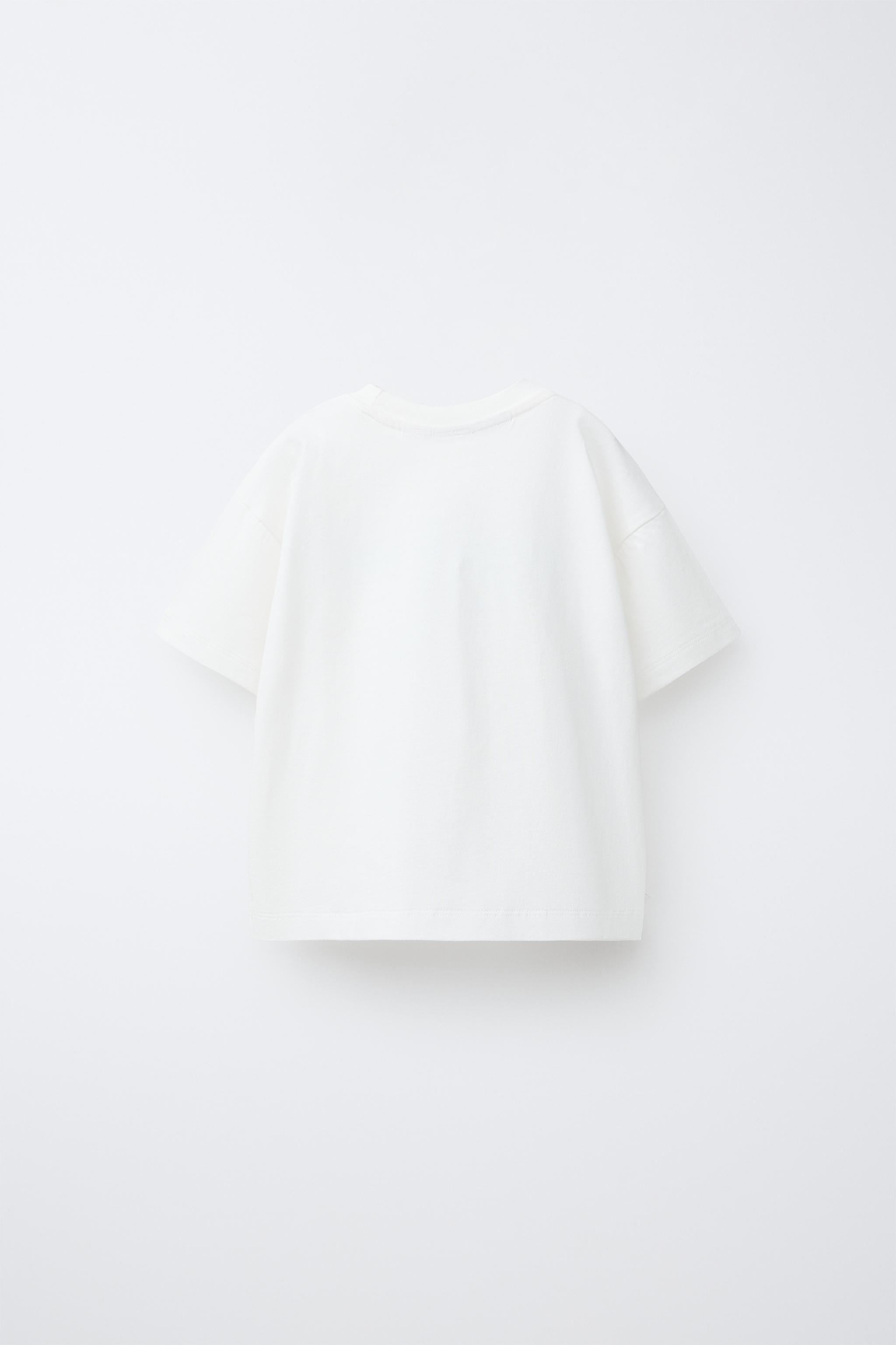 SNOOPY PEANUTS™ EMBROIDERED PRINT T-SHIRT | Zara US